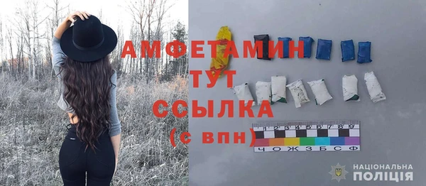 гашик Алексеевка