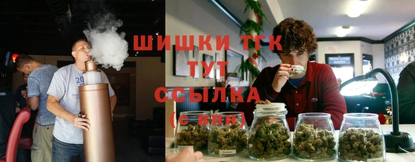 гашик Алексеевка